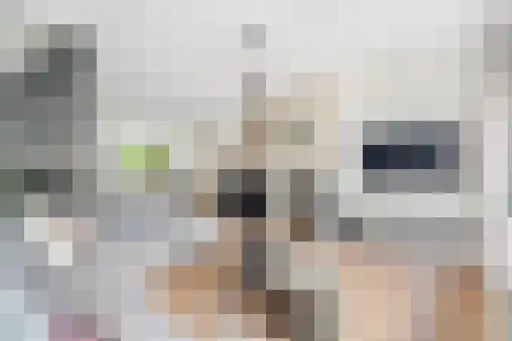 Karekiet 2 Leusden thumbnail 10