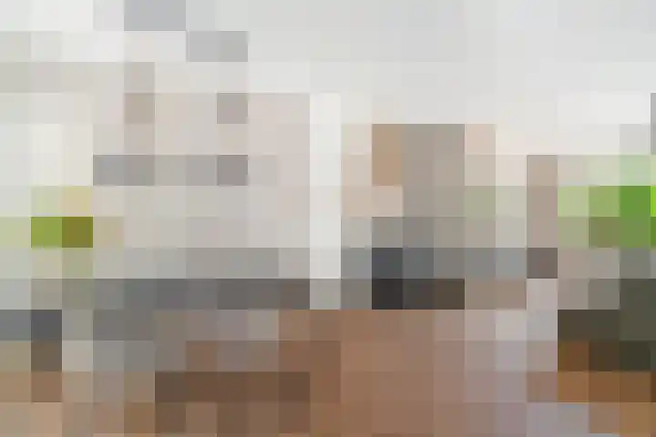 Karekiet 2 Leusden thumbnail 14