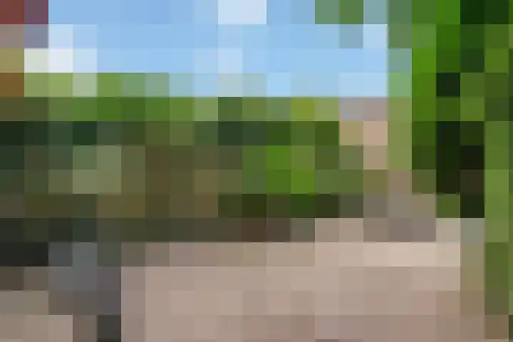 Karekiet 2 Leusden thumbnail 19