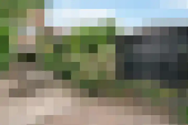 Karekiet 2 Leusden thumbnail 22