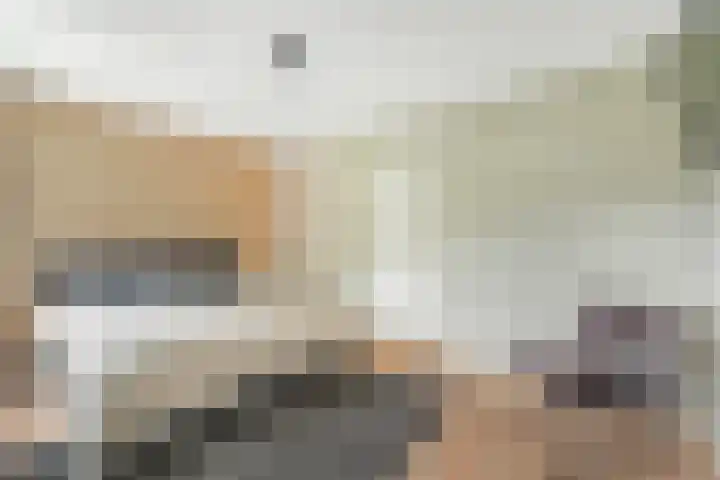 Karekiet 2 Leusden thumbnail 27