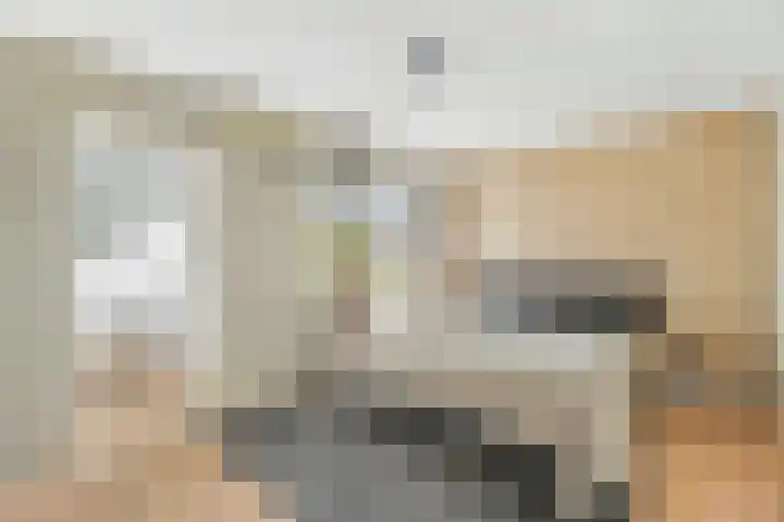 Karekiet 2 Leusden thumbnail 28