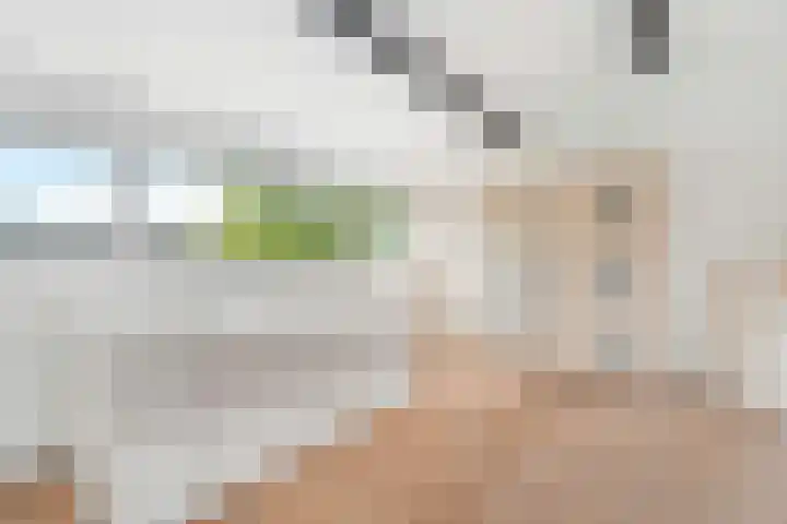 Karekiet 2 Leusden thumbnail 34