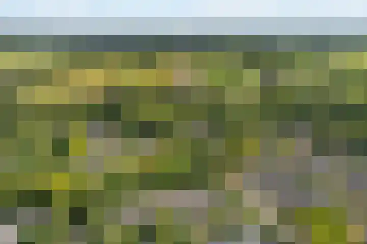 Karekiet 2 Leusden thumbnail 43