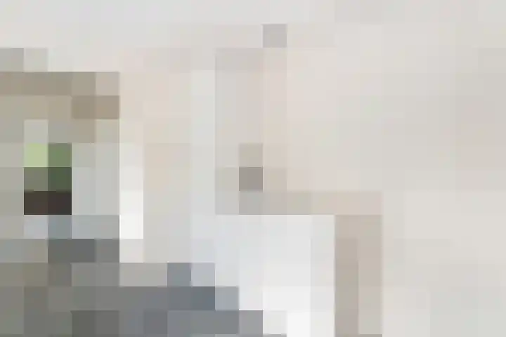 Karekiet 2 Leusden thumbnail 7
