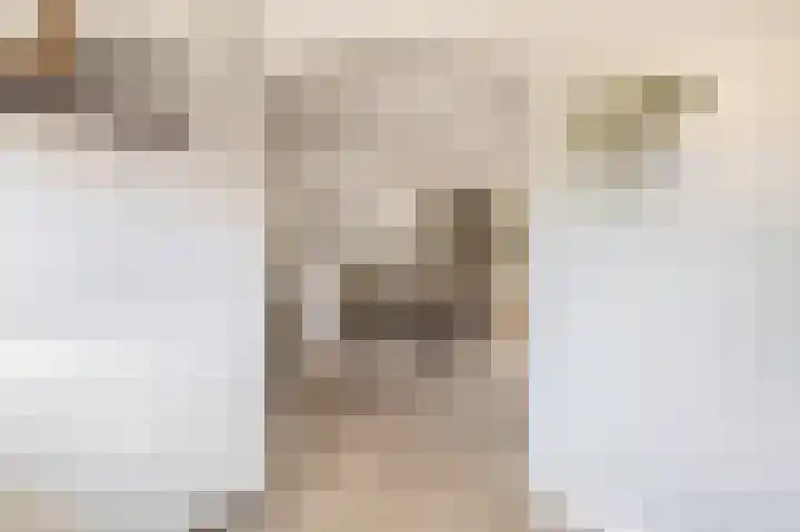 Karekiet 2 Sommelsdijk thumbnail 10