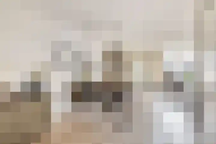Karekiet 2 Sommelsdijk thumbnail 11