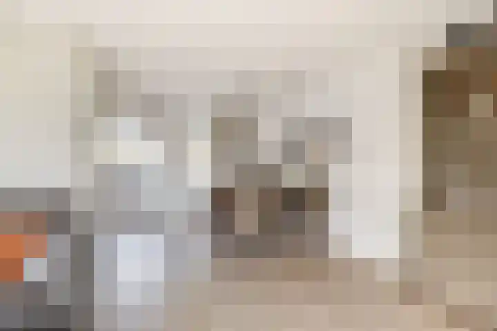 Karekiet 2 Sommelsdijk thumbnail 12