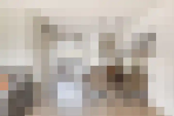Karekiet 2 Sommelsdijk thumbnail 13