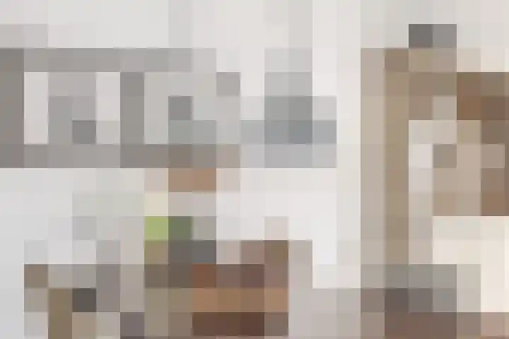 Karekiet 2 Sommelsdijk thumbnail 14