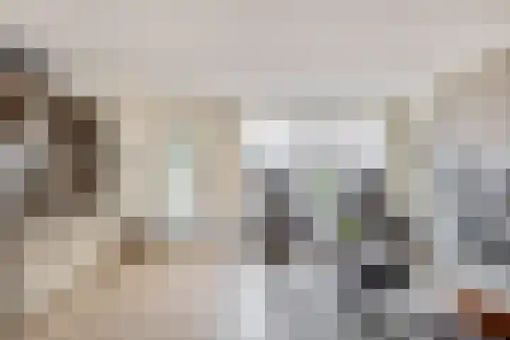 Karekiet 2 Sommelsdijk thumbnail 15