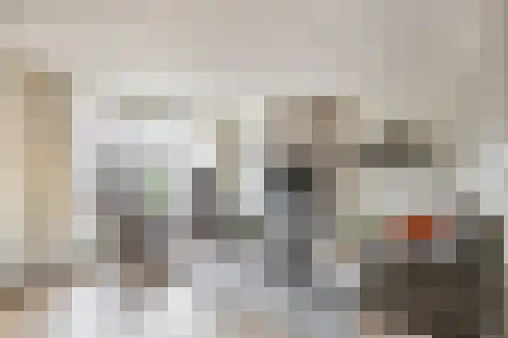 Karekiet 2 Sommelsdijk thumbnail 16