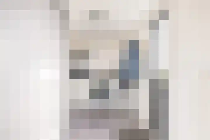 Karekiet 2 Sommelsdijk thumbnail 18