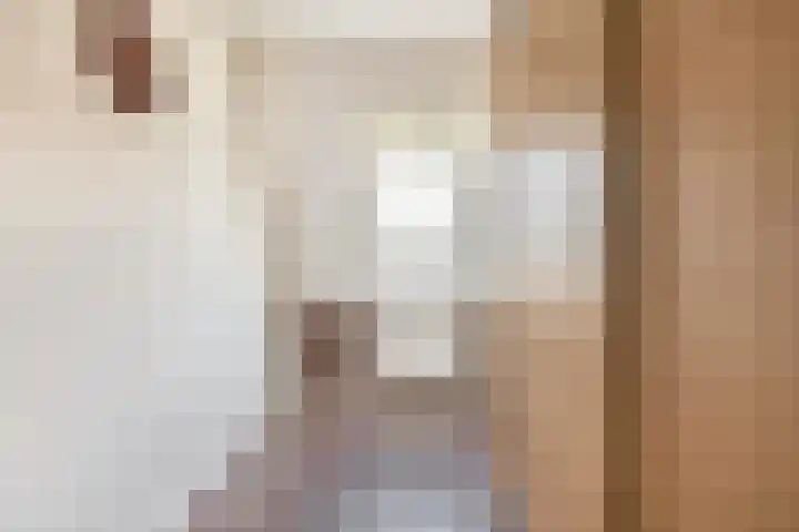 Karekiet 2 Sommelsdijk thumbnail 22