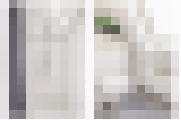Karekiet 2 Sommelsdijk thumbnail 26