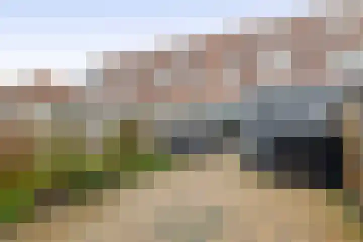 Karekiet 2 Sommelsdijk thumbnail 32