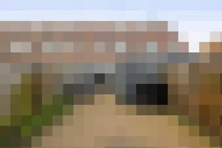 Karekiet 2 Sommelsdijk thumbnail 33
