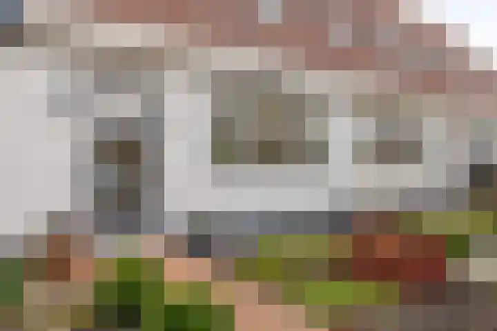 Karekiet 2 Sommelsdijk thumbnail 35