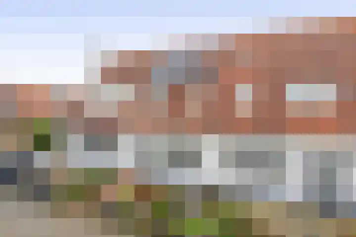 Karekiet 2 Sommelsdijk thumbnail 36