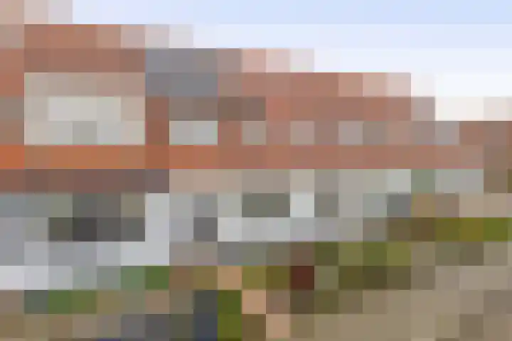 Karekiet 2 Sommelsdijk thumbnail 37
