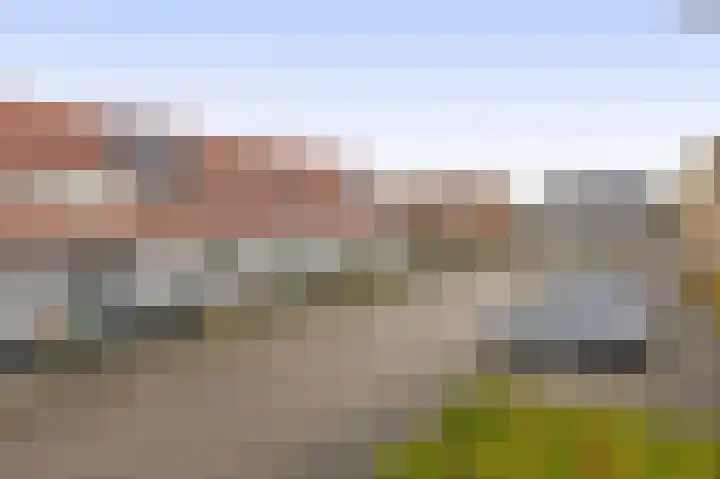 Karekiet 2 Sommelsdijk thumbnail 38