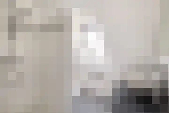 Karekiet 2 Sommelsdijk thumbnail 4