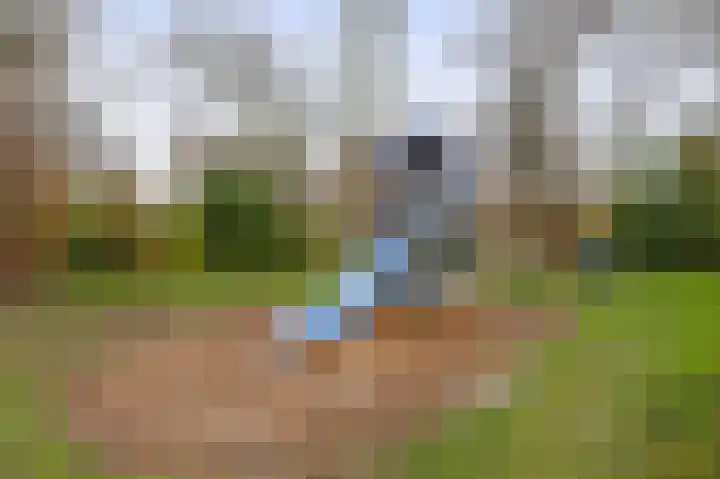 Karekiet 2 Sommelsdijk thumbnail 40
