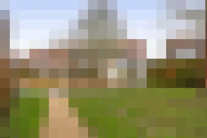 Karekiet 2 Sommelsdijk thumbnail 41