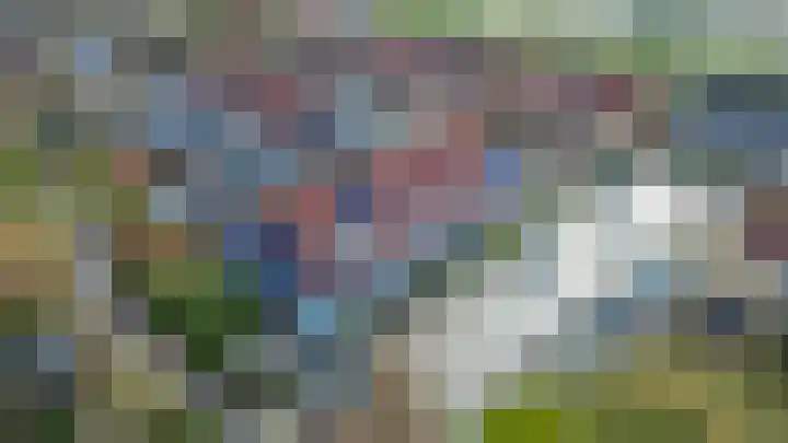 Karekiet 2 Sommelsdijk thumbnail 44