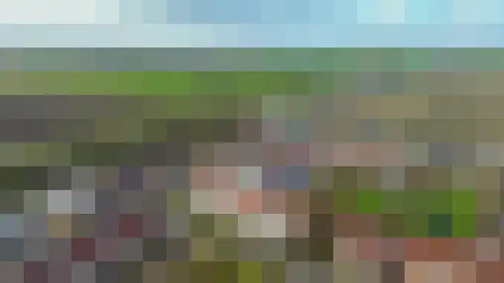 Karekiet 2 Sommelsdijk thumbnail 48