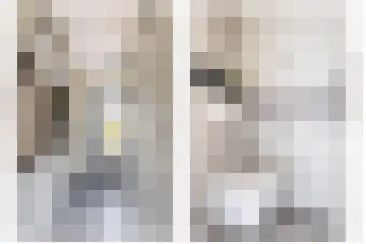 Karekiet 2 Sommelsdijk thumbnail 5