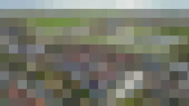Karekiet 2 Sommelsdijk thumbnail 50