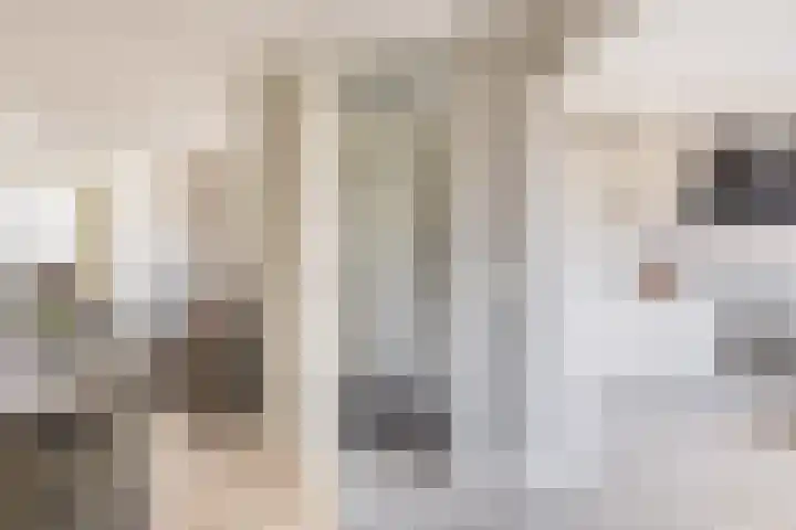 Karekiet 2 Sommelsdijk thumbnail 7