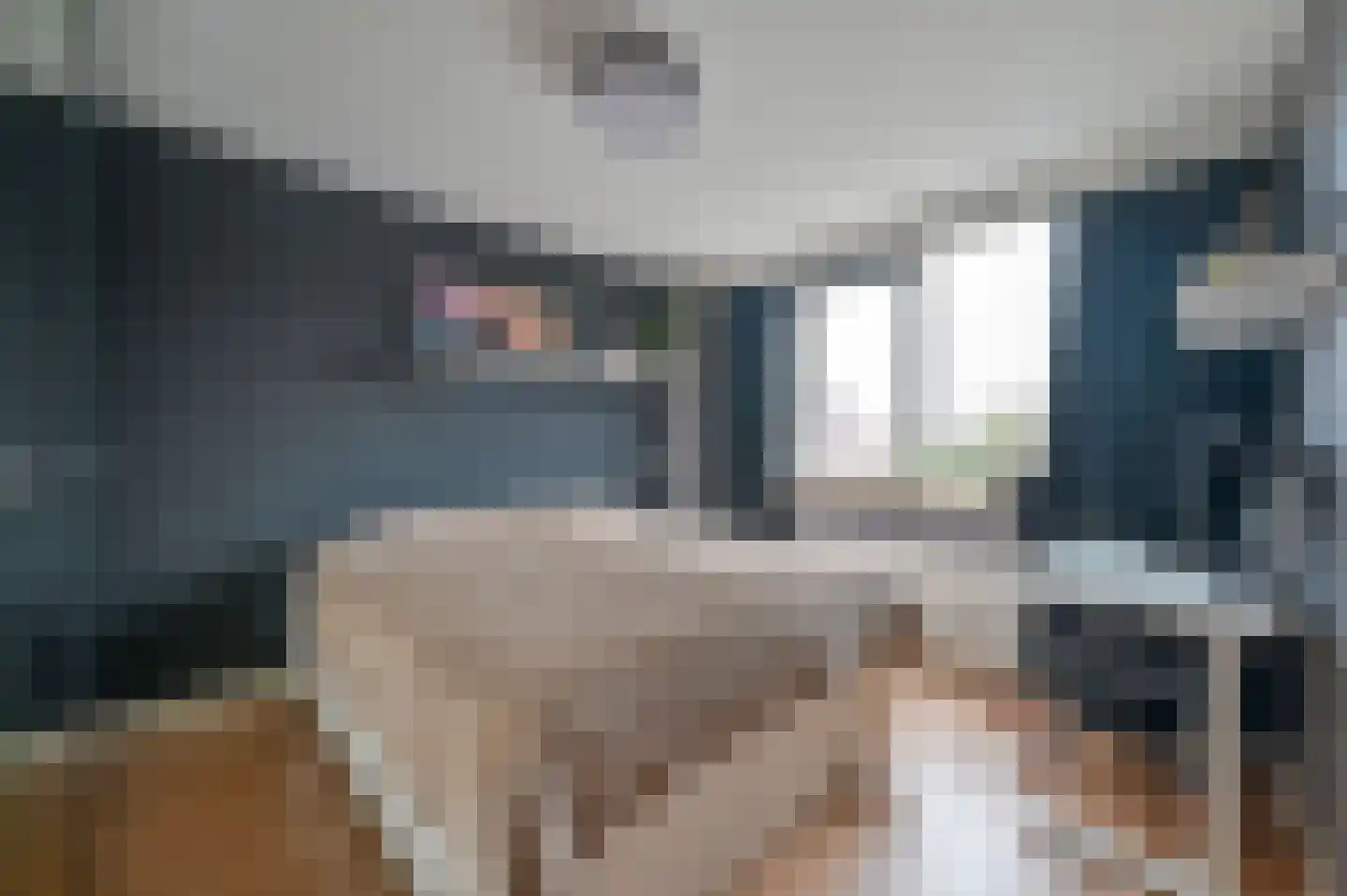 Karekiet 20 Mijdrecht thumbnail 18