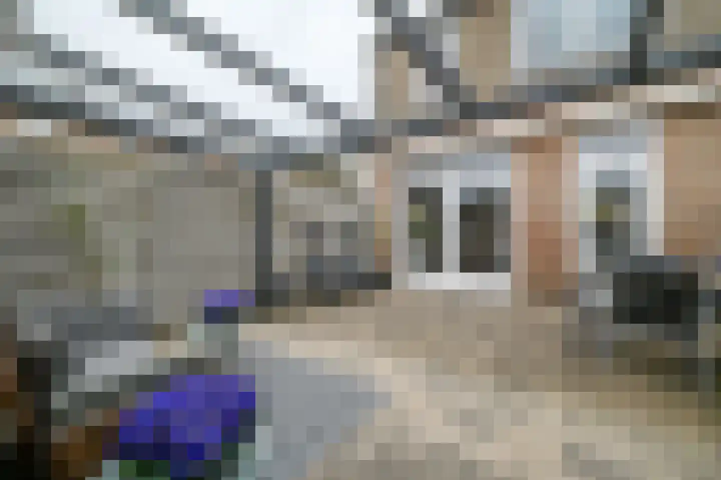 Karekiet 20 Mijdrecht thumbnail 28