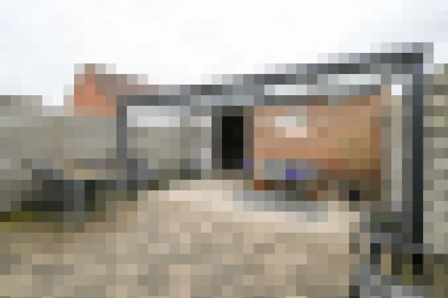 Karekiet 20 Mijdrecht foto 3
