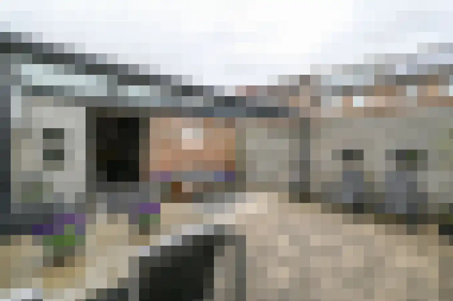 Karekiet 20 Mijdrecht thumbnail 31
