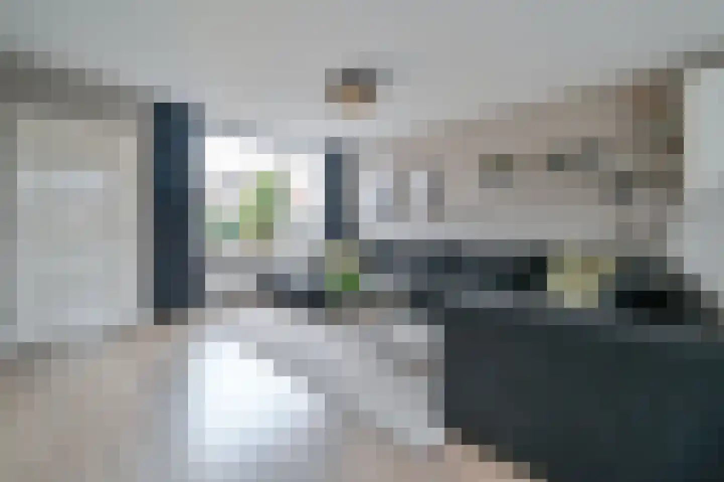 Karekiet 20 Mijdrecht thumbnail 5