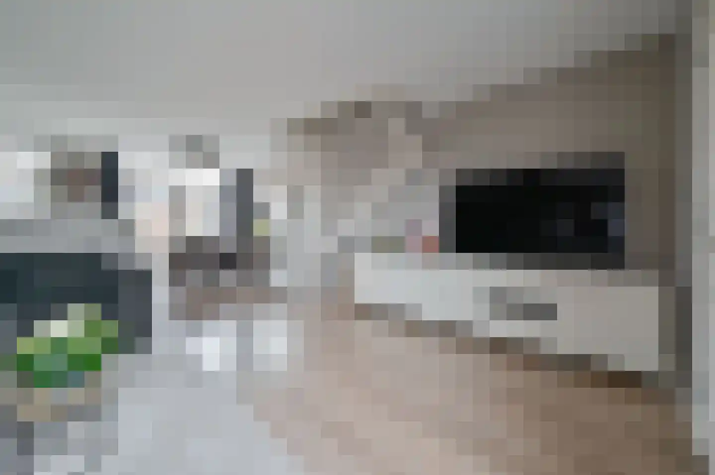 Karekiet 20 Mijdrecht thumbnail 6