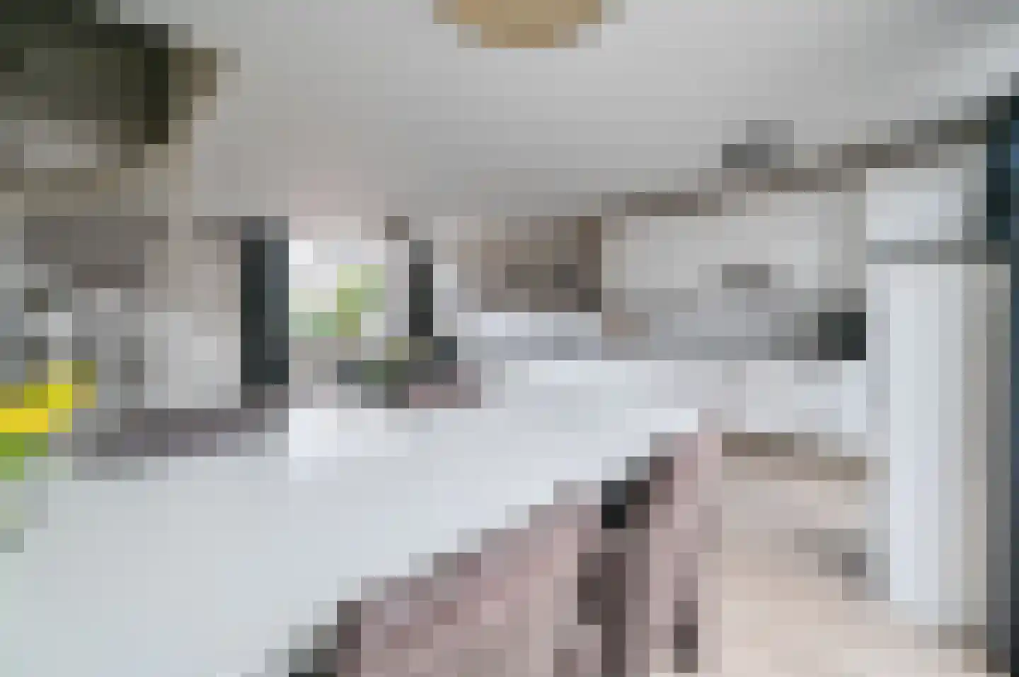 Karekiet 20 Mijdrecht thumbnail 9