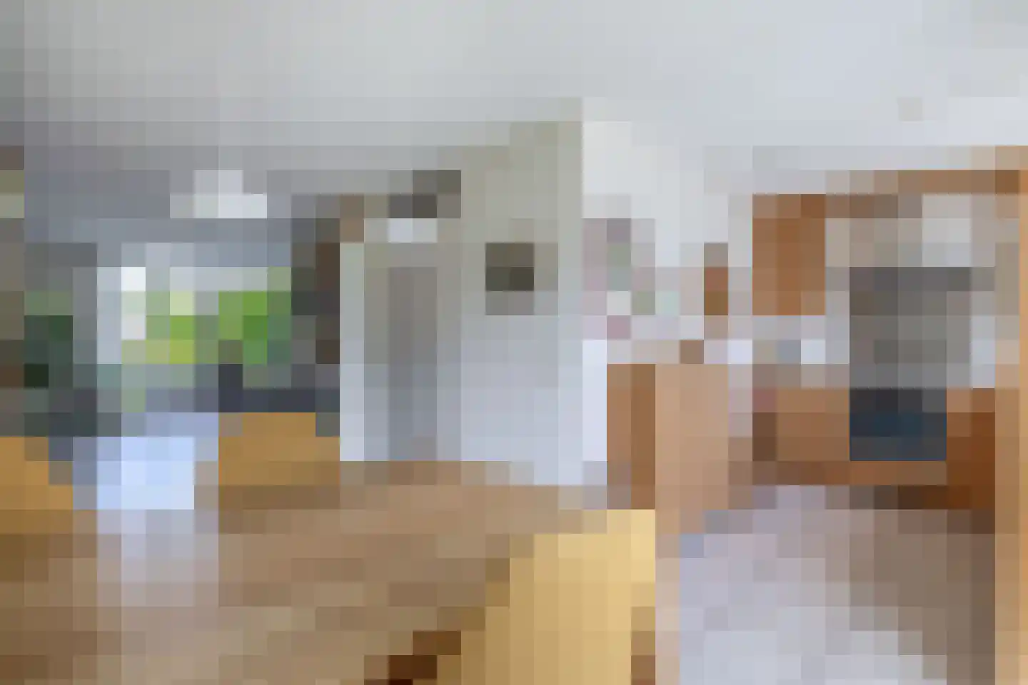 Karekiet 27 's-Gravenzande thumbnail 14