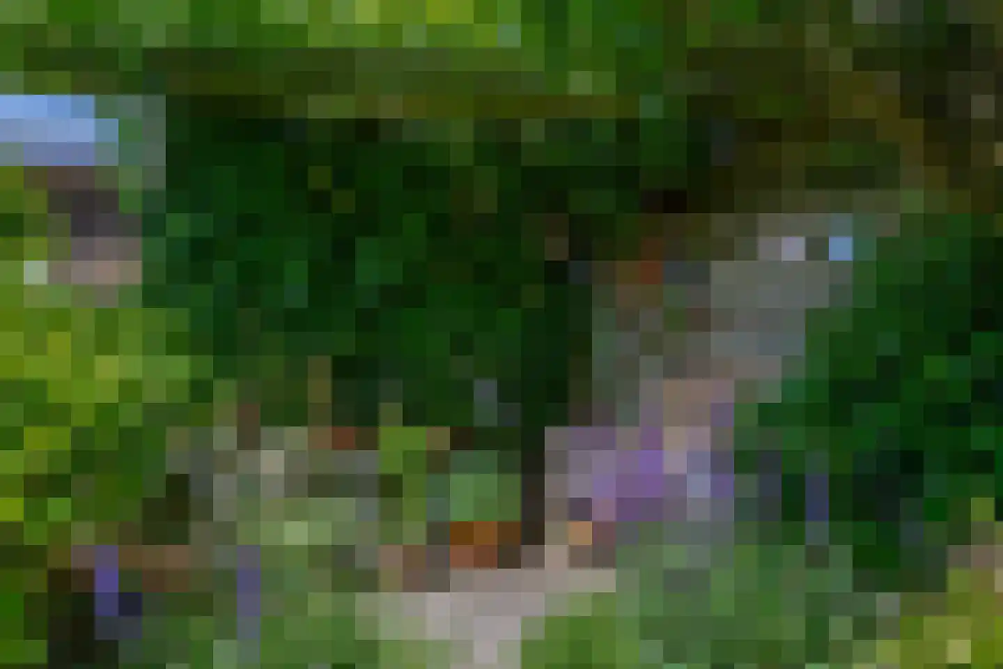 Karekiet 27 's-Gravenzande thumbnail 17