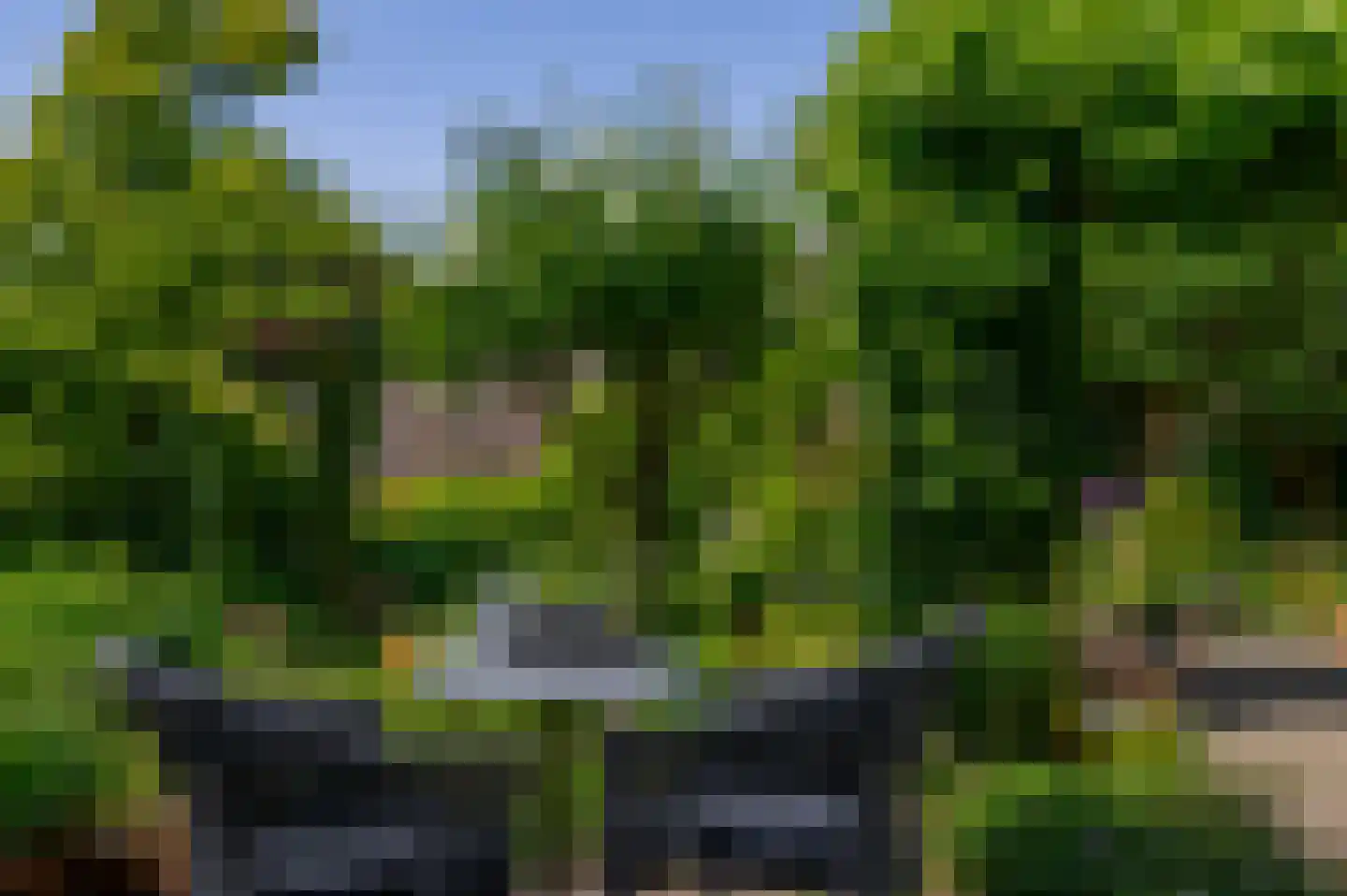 Karekiet 27 's-Gravenzande thumbnail 18