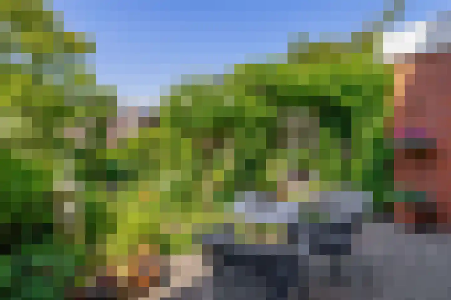 Karekiet 27 's-Gravenzande thumbnail 19