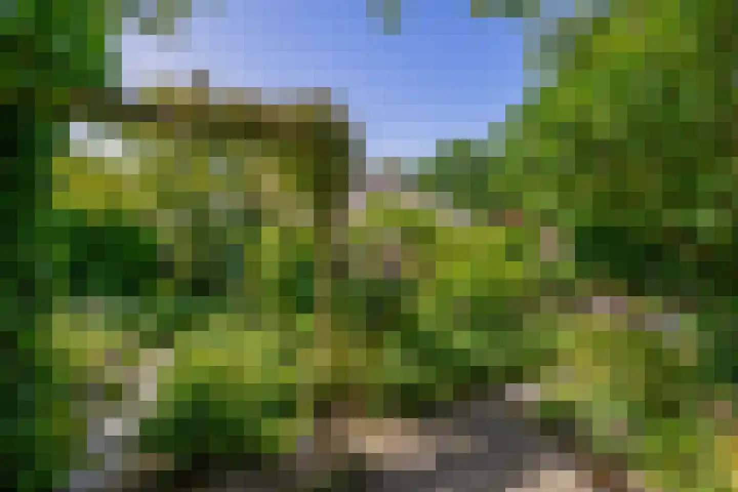 Karekiet 27 's-Gravenzande thumbnail 20