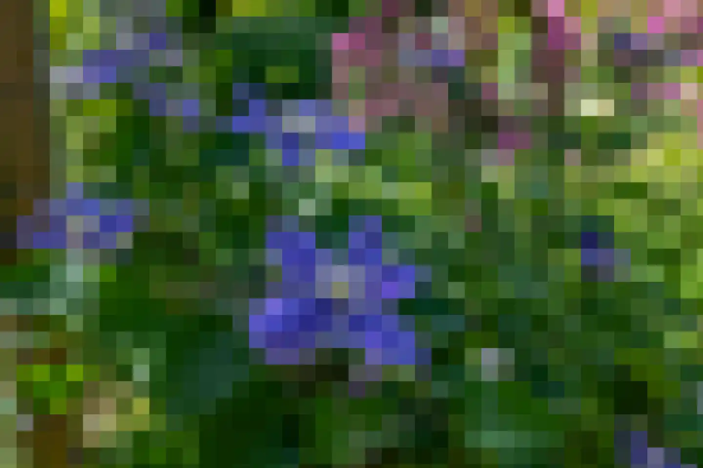 Karekiet 27 's-Gravenzande thumbnail 21