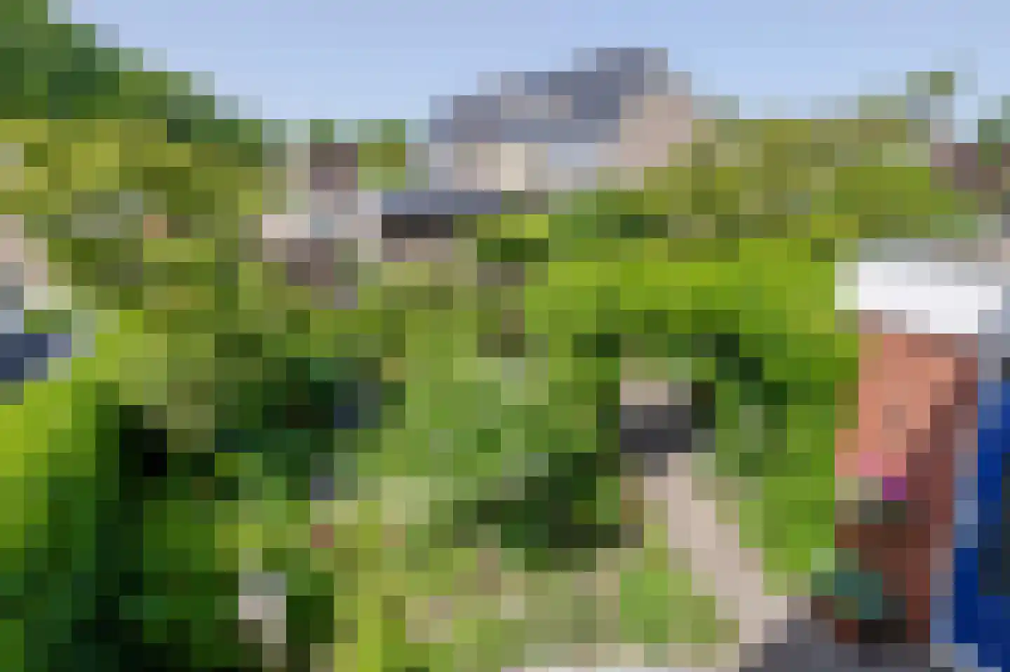Karekiet 27 's-Gravenzande thumbnail 22