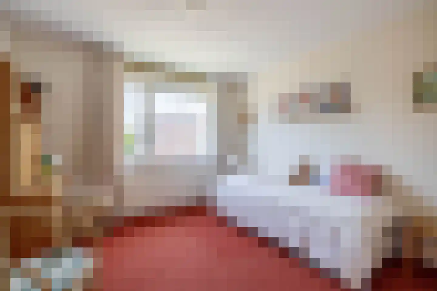 Karekiet 27 's-Gravenzande thumbnail 28