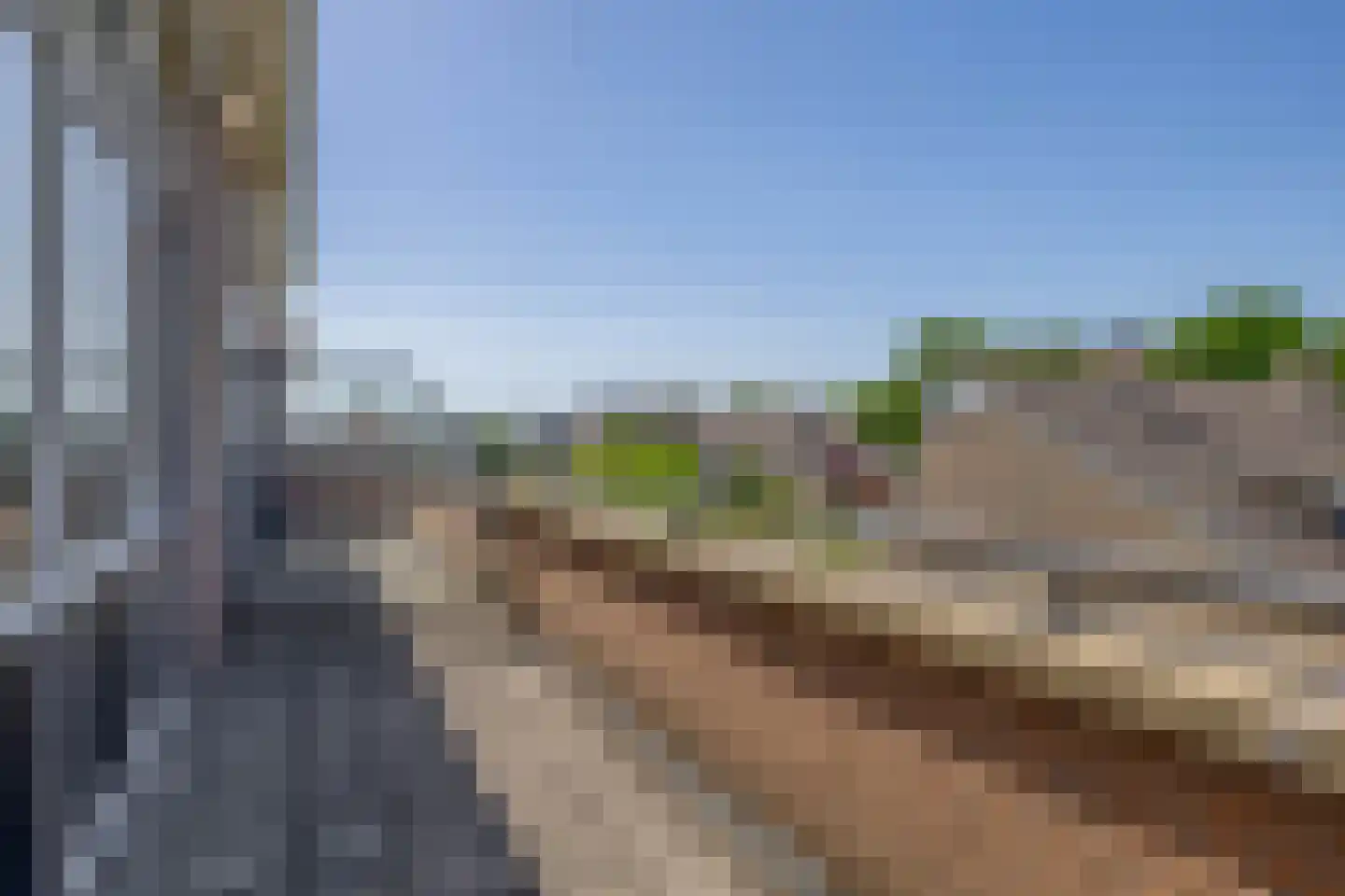 Karekiet 27 's-Gravenzande thumbnail 36