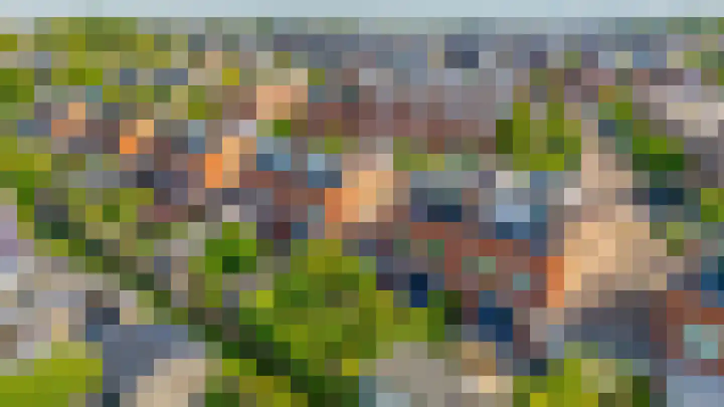 Karekiet 27 's-Gravenzande thumbnail 4